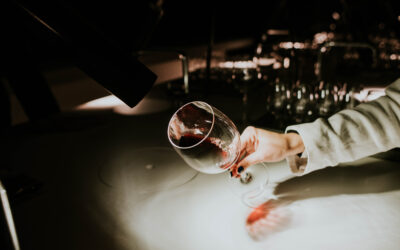 Las bodegas de Logroño avanzan en el posicionamiento de la capital riojana como enópolis