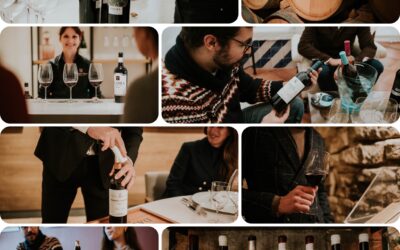 Las bodegas de Logroño celebran sus fiestas