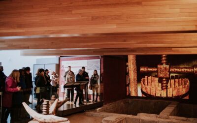 ¿Por qué en Logroño el Vino es Capital?