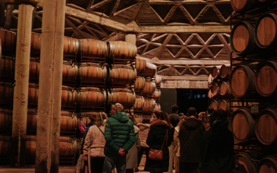 El equipo de enoturismo, clave del éxito de las Bodegas de Logroño