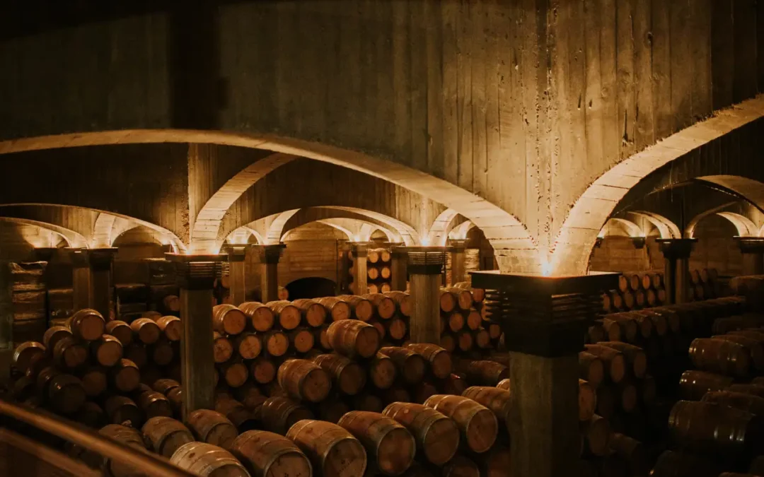 La capital de La Rioja es un destino en el que la cultura del vino no solo se marida, también se visita.