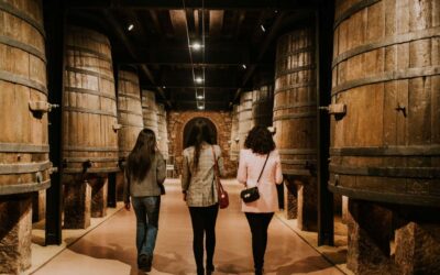 La gente quiere acercarse al vino de forma desenfadada y divertida