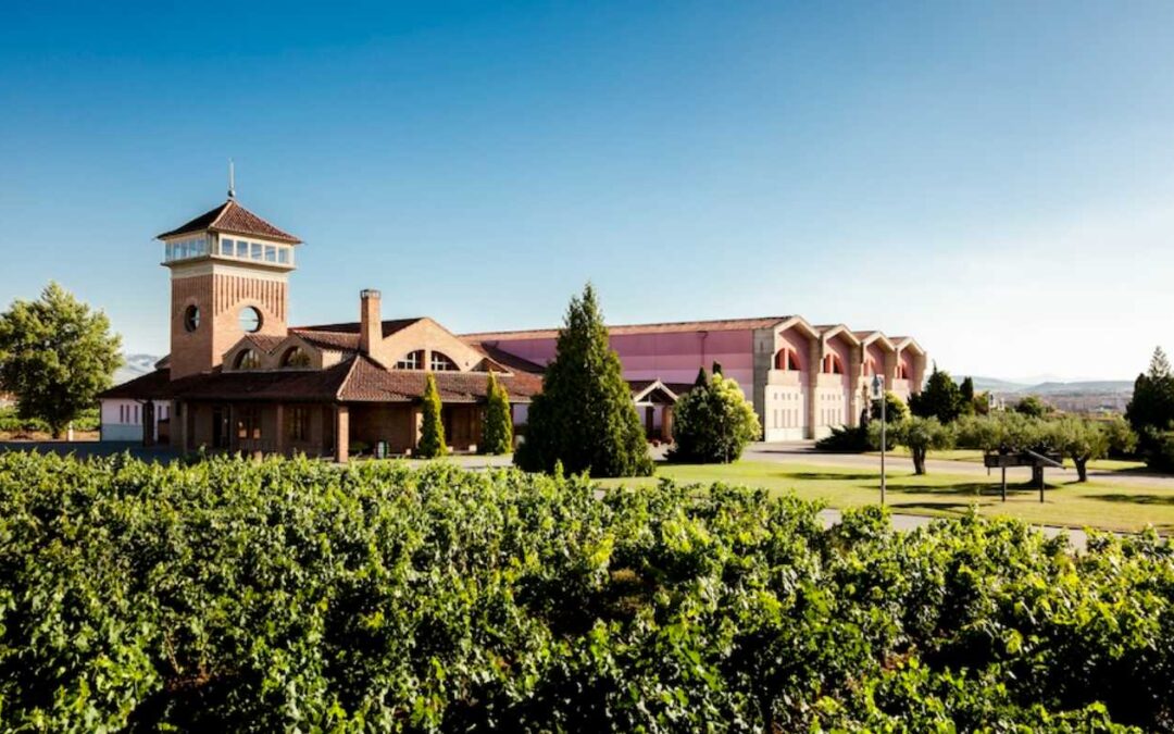 Ocho bodegas y una ciudad, Logroño: el Rioja en versión urbana