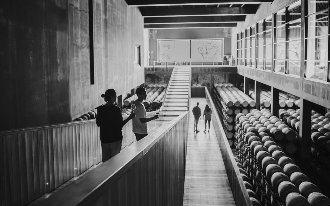 De la casualidad a la identidad: el papel de la barrica en nuestros vinos