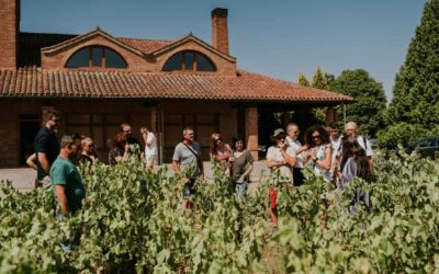 Abril en Logroño: primavera, vino y planes en bodega